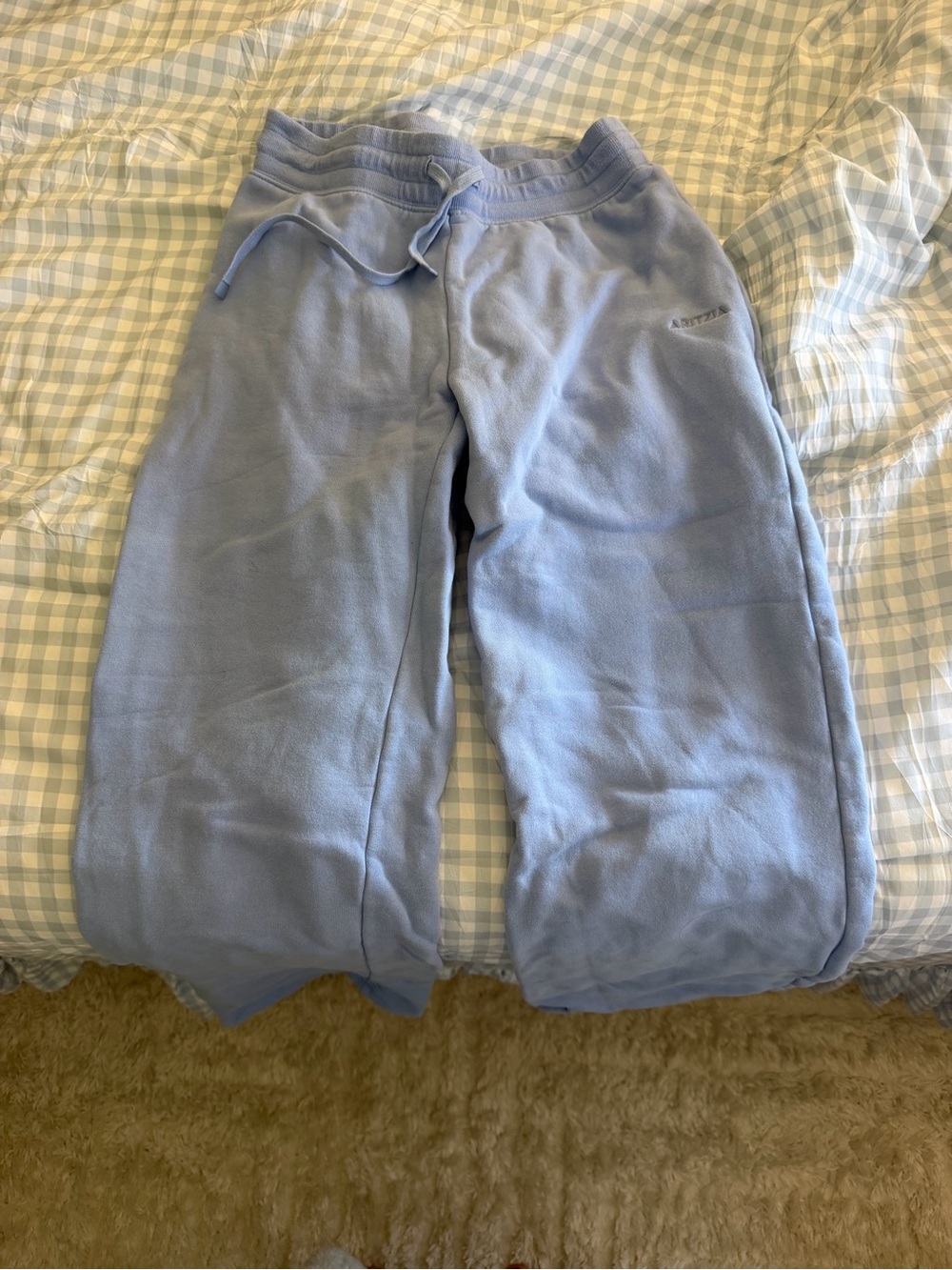 Aritzia Light Blue Fleece Track Pants